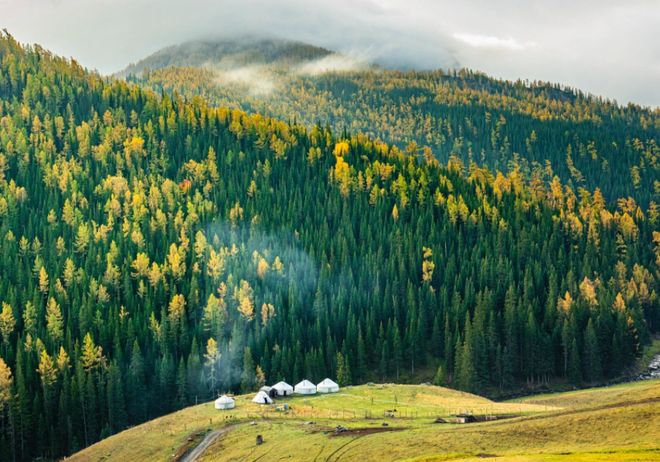 Autumn forest with yurts and chimney smoke in the Tianshan foothills near Yanqi