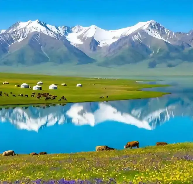 Xinjiang Sea Buckthorn and Wild Fruit: What Foragers Actually Pick