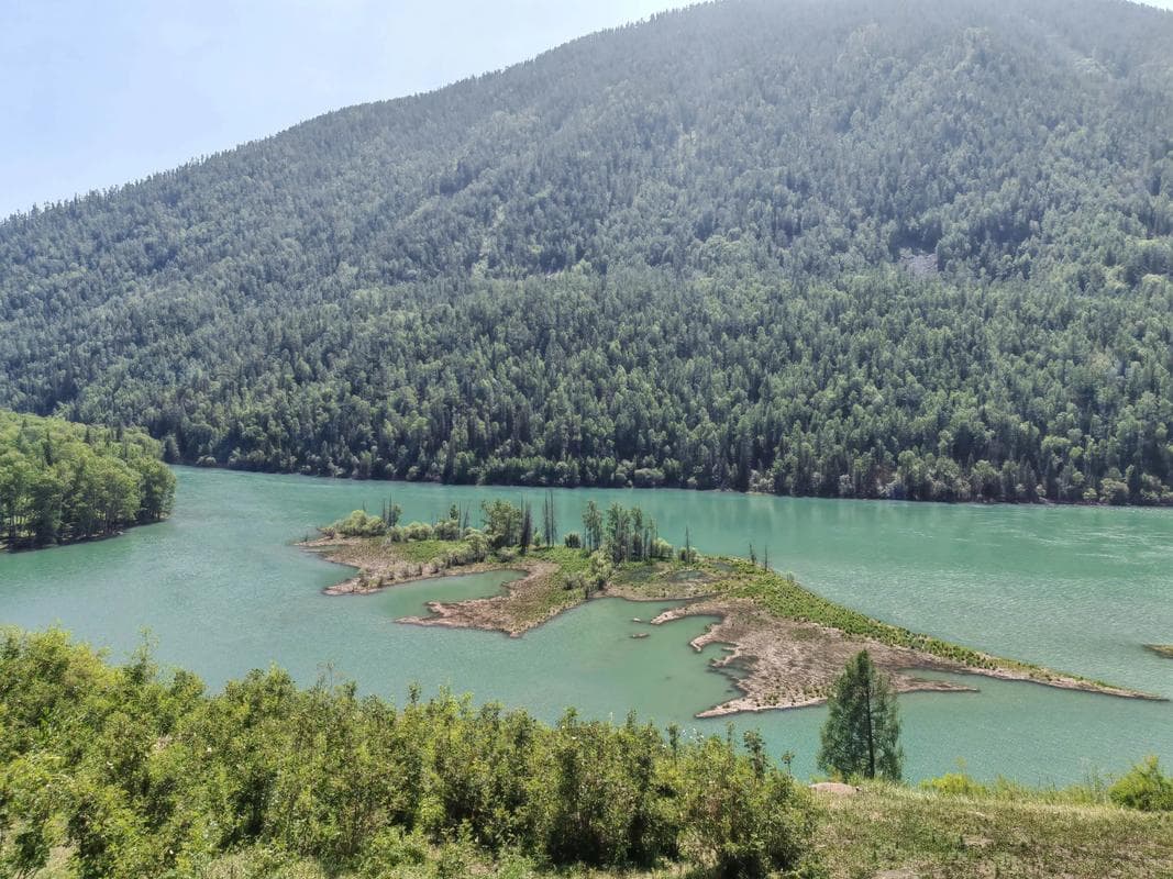 Forested slopes in the Kanas scenic area, northern Xinjiang