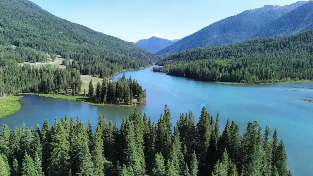 Autumn forest and water in the Kanas valley, northern Xinjiang