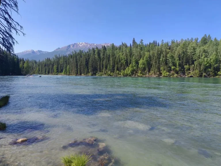 Ili vs Altai: Which Northern Region to Pick