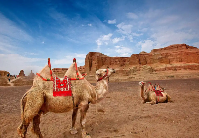 Taklamakan Camel Trek: Crossing the Sea of Death