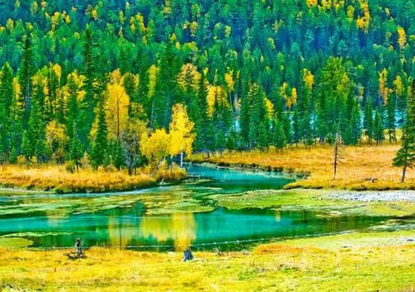 Kanas Lake in golden autumn colors