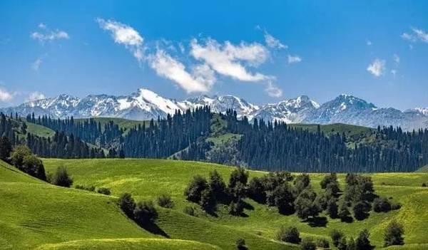 Green summer landscape in northern Xinjiang with meadows and distant mountains