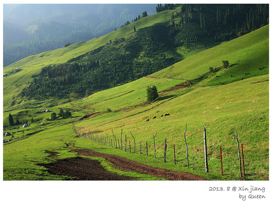 Open grassland scenery in the Ili region of Xinjiang