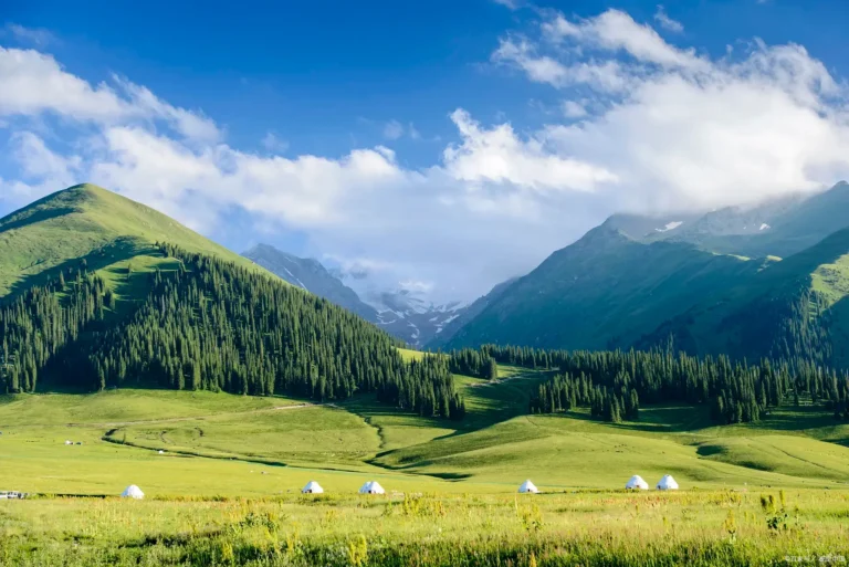 Qitai County: Jiangbulake Wheat Fields on the Northern Slope