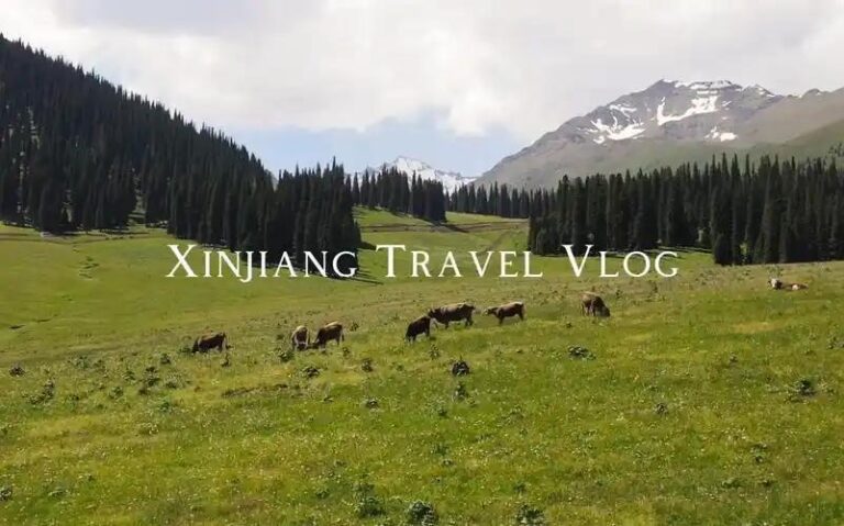 Xinjiang Health and Medical Preparedness: A Pharmacist’s Field Guide