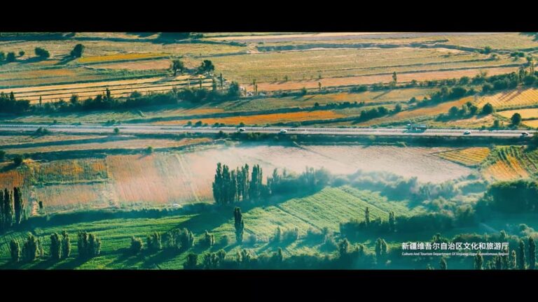 Xinjiang Autumn Harvest Calendar: What Ripens When