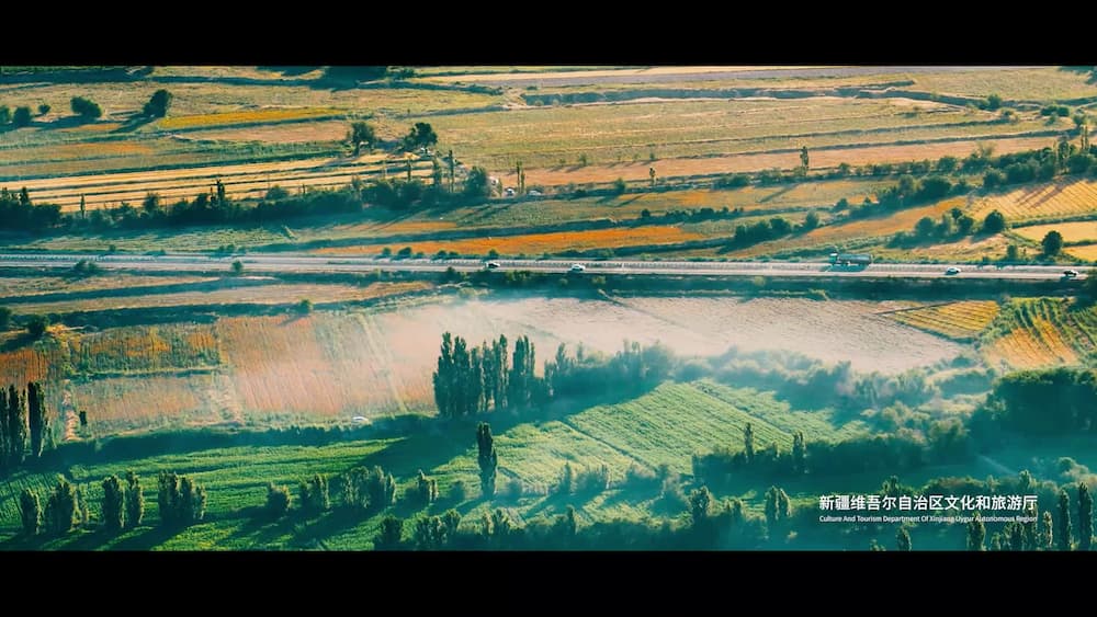 Aerial view of an oasis in Xinjiang at sunrise, with patchwork fields in green, gold and brown, poplar windbreak rows and a highway cutting through morning mist