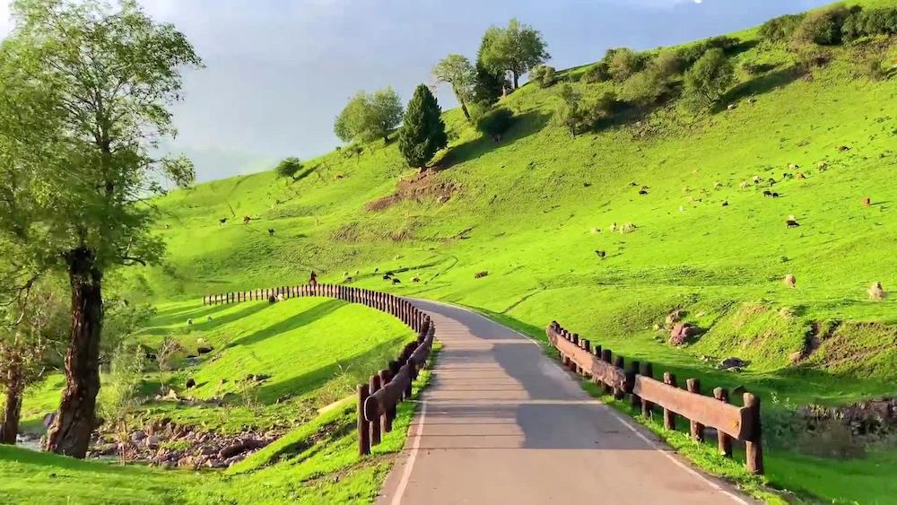 A road winding through green Xinjiang grassland after landing at a regional airport