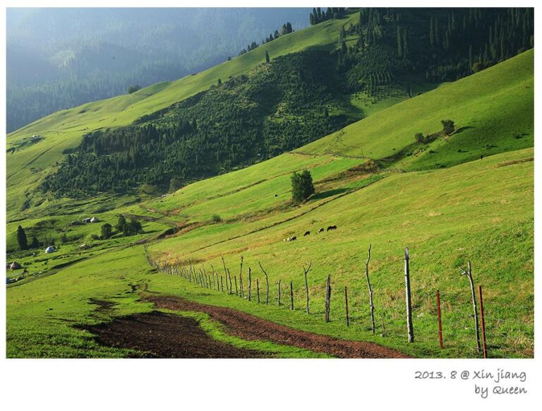 Tangbula Grassland: Ili’s Hidden Gem