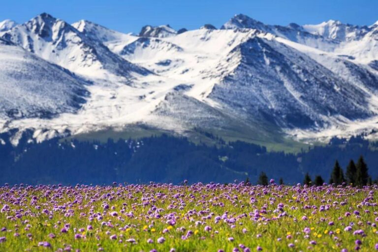 Best Time to Visit Xinjiang: Month-by-Month Guide 2026