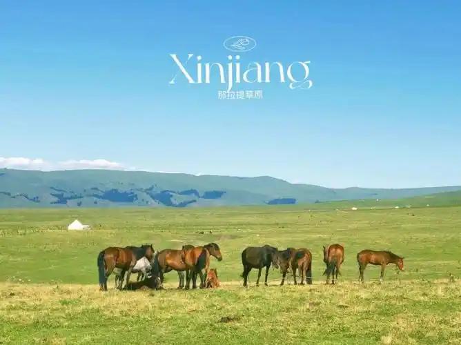Xinyuan: The Heart of Ili